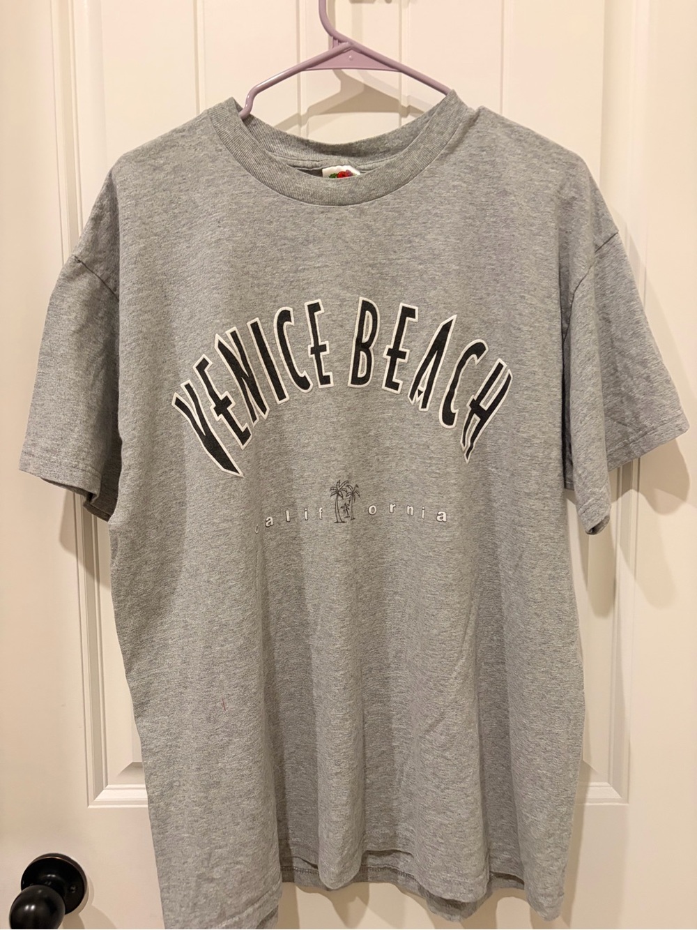 Vintage Fruit of the Loom Venice Beach Graphic Tee - Gray 🏝️